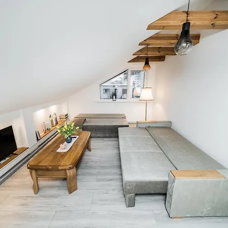 Knygu Namai Apartment Kaunas