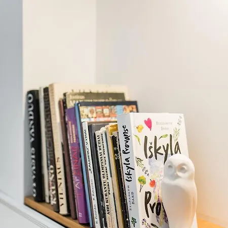 Knygu Namai Apartment Kaunas